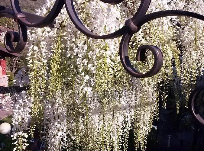 ベッド・アンド・ブレックファスト Jasmine Luni