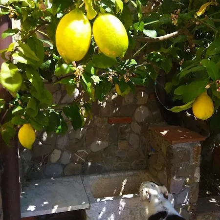 Alojamento de Acomodação e Pequeno-almoço Jasmine Luni