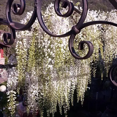 Bed & Breakfast Jasmine Luni