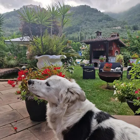 Jasmine Alojamento de Acomodação e Pequeno-almoço