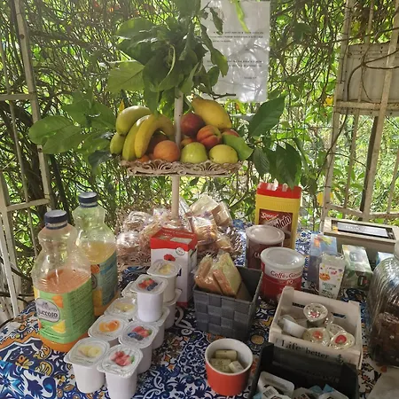 Jasmine Alojamento de Acomodação e Pequeno-almoço Luni