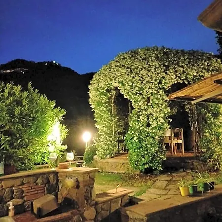 Jasmine 3*