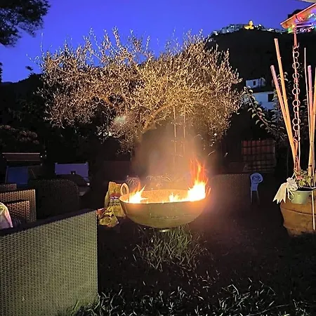 Jasmine 3*