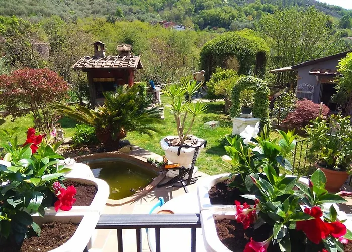 Bed & Breakfast Jasmine Luni