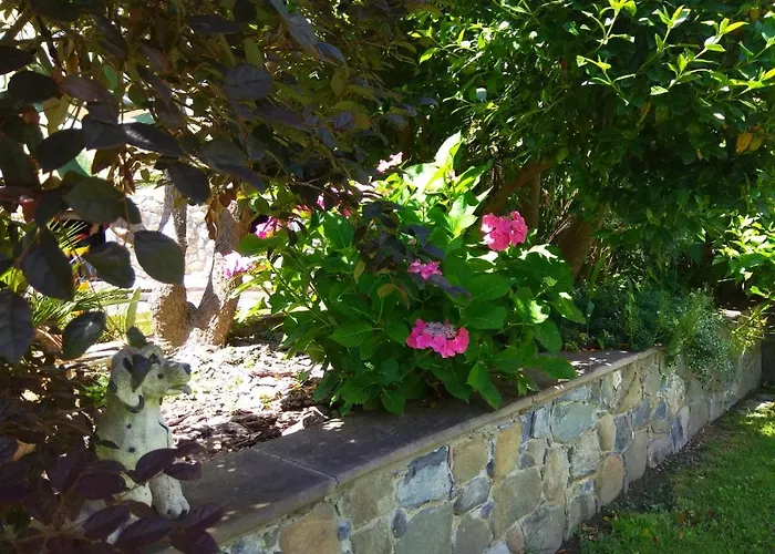 Jasmine Bed & Breakfast Luni