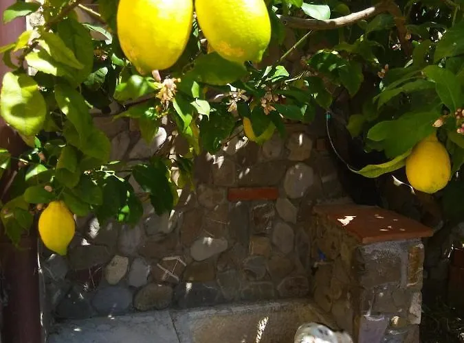 Bed & Breakfast Jasmine Luni