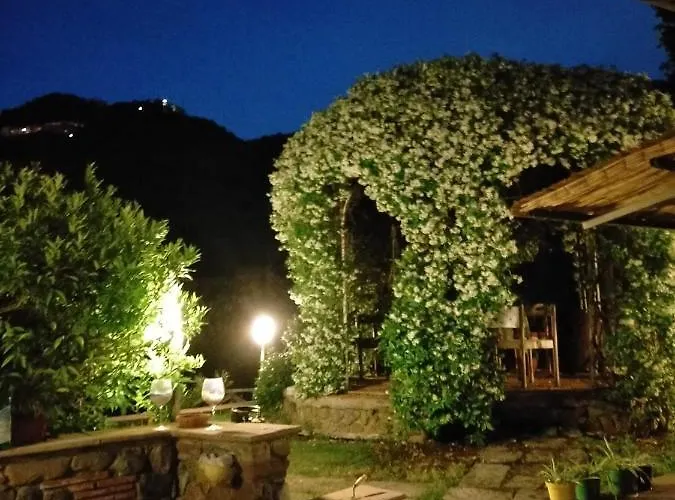 Bed & Breakfast Jasmine 3*